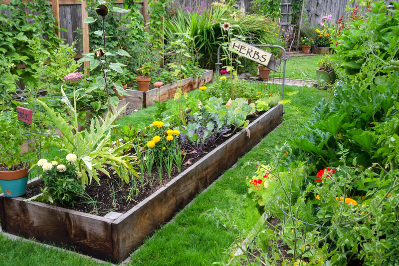 Vegetable & Apothecary Garden - Pałac Włosień